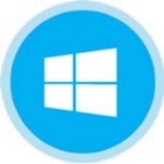 Windows11模拟器