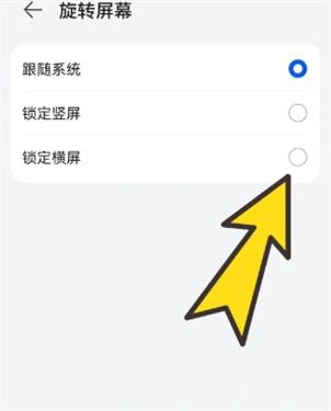 无国界BOBO浏览器老版本
