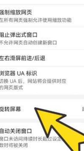 波波浏览器蓝色版