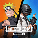 Pubg Mobile国际服
