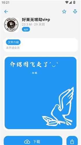 熊盒子白鸽最新版