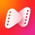 NetShort