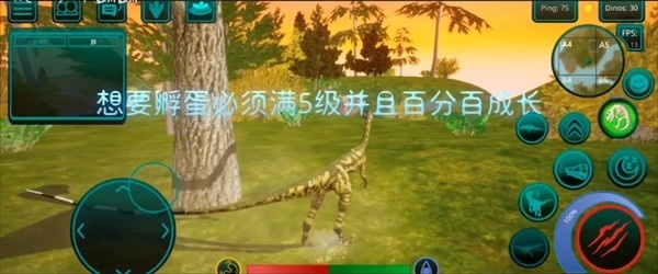 恐龙岛(诅咒之岛)