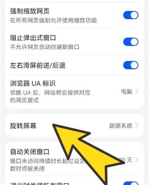 BOBO浏览器海外版