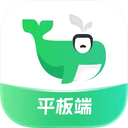 小绿鲸