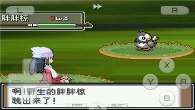 神奇宝贝白金版