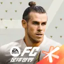 FIFA世界杯