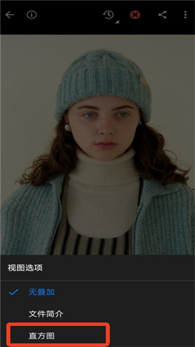 Lightroom手机安卓版