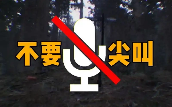 不要尖叫联机版