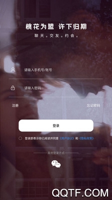初见桃花社交app安卓版0
