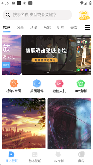 小鸟壁纸0