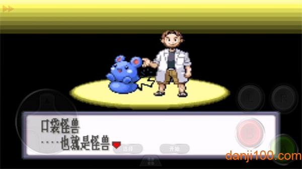 口袋妖怪红宝石金手指3