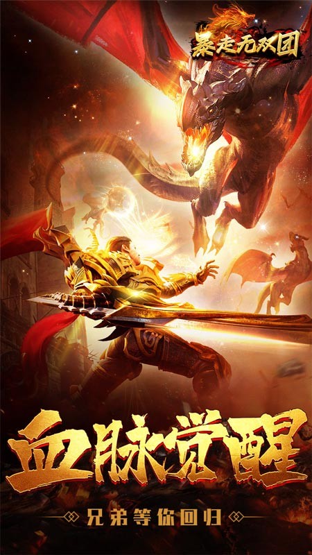 暴走无双团游戏1