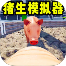小猪的日常游戏
