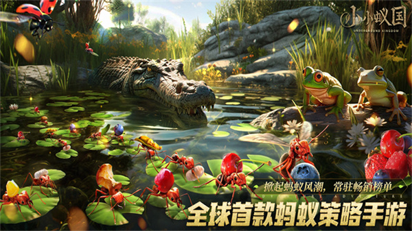 小小蚁国手游4