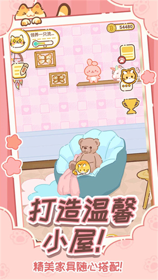 领养一只流浪猫1