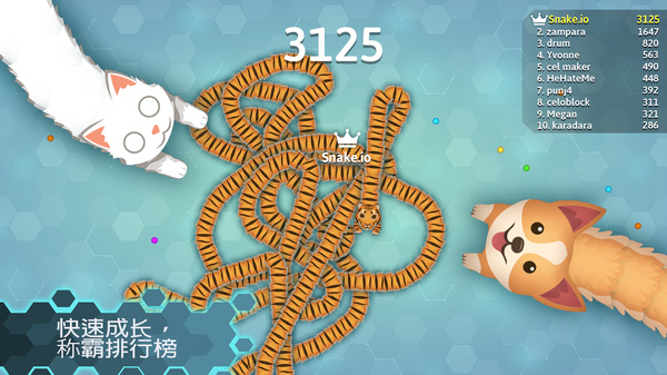 Snakeio5