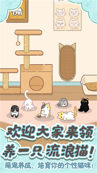 领养一只流浪猫2