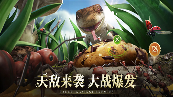 小小蚁国手游2