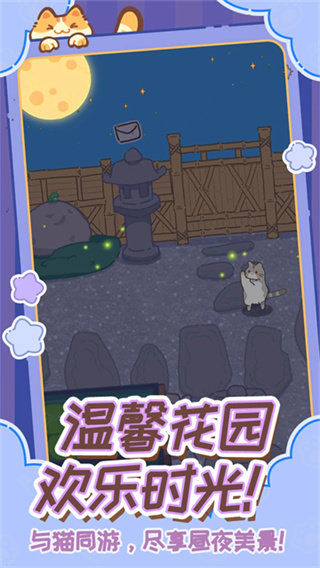 领养一只流浪猫5