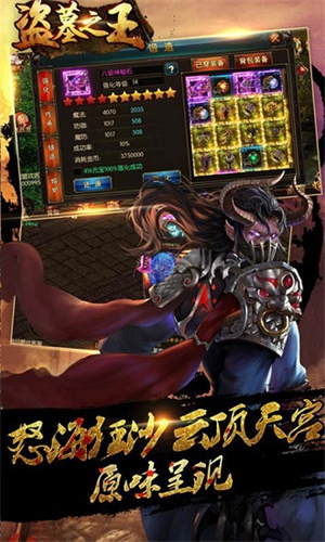 盗墓之王游戏2