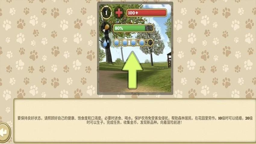 小猫旅途森林家园游戏2
