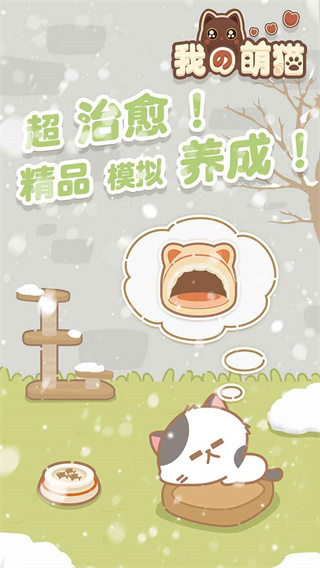 我的萌猫1