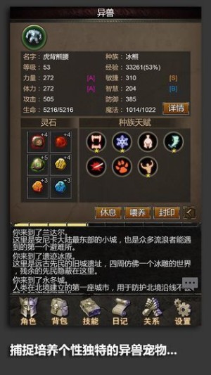 安尼卡暗黑世界无尽轮回手游(安尼卡永恒)3