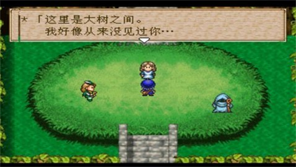 勇者斗恶龙怪兽仙境内购破解版1