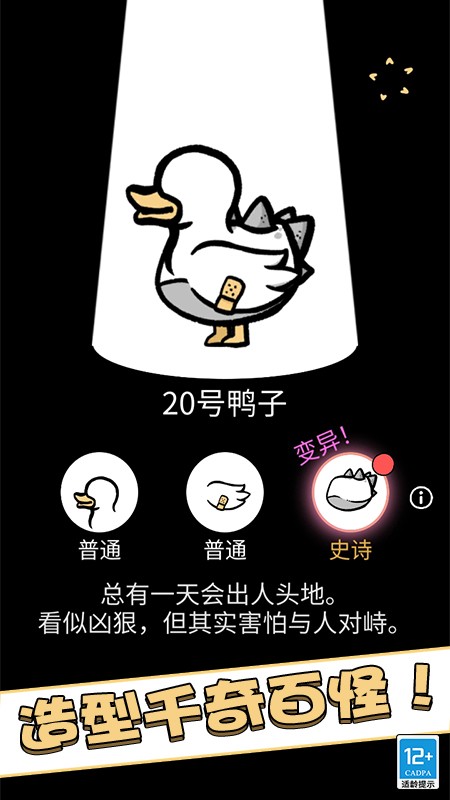 奇怪的鸭子游戏1
