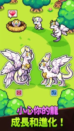 神龙部落国际版(Dragon Village)1