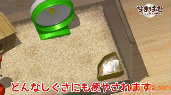 小小仓鼠中文版 小小仓鼠游戏下载