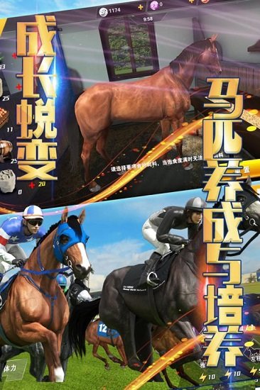 相马大师小米正版2