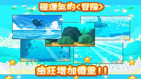 活下去曼波鱼游戏0