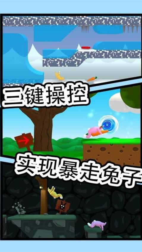 疯狂兔子人游戏3
