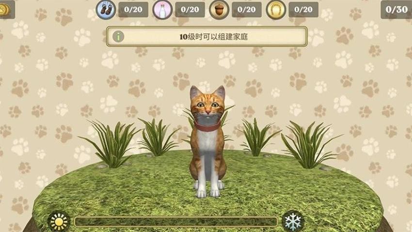 小猫旅途森林家园游戏0