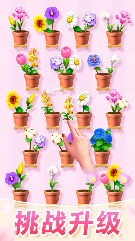 插花消除手游3