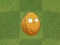 植物大战僵尸2国际服正版