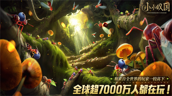 小小蚁国手游3