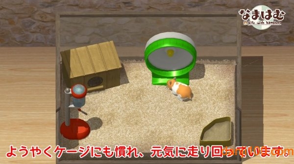 小小仓鼠中文版(我的仓鼠)1
