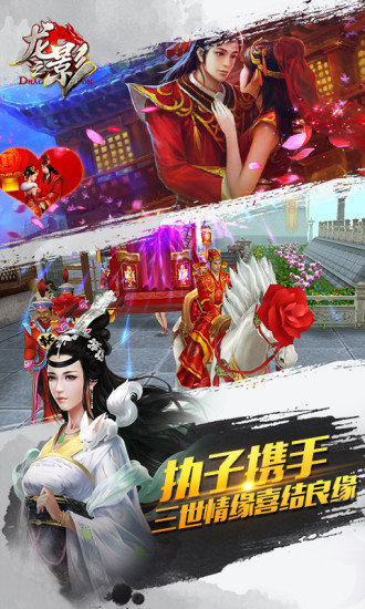 龙之影内购破解版4