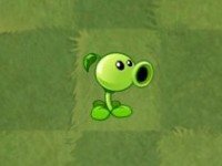 植物大战僵尸2国际服正版
