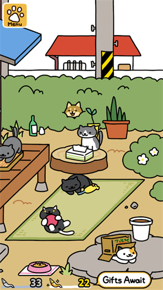 猫咪后院20