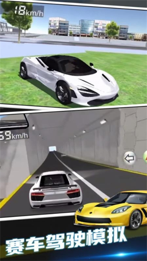 疯狂赛车驾驶游戏1