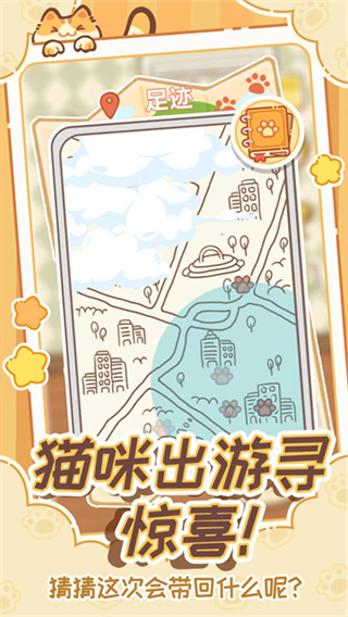领养一只流浪猫4