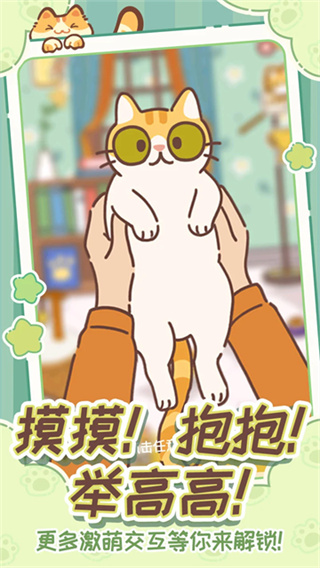 领养一只流浪猫3