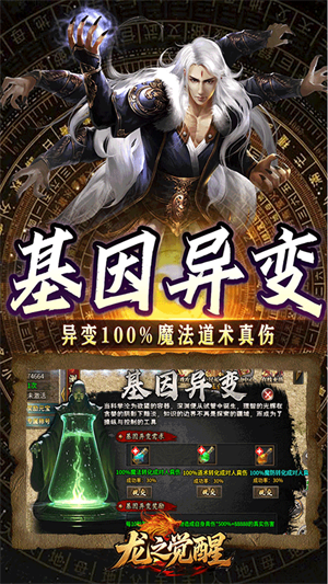 龙之觉醒内购破解版2
