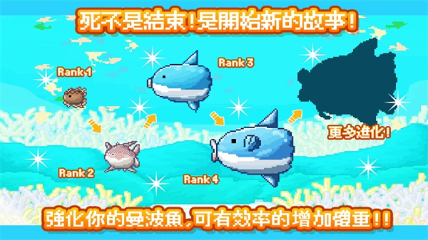 活下去曼波鱼游戏4