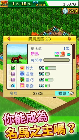 赛马牧场物语游戏2
