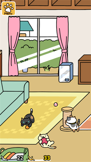 猫咪后院24